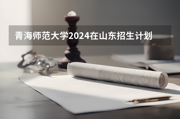 青海师范大学2024在山东招生计划
