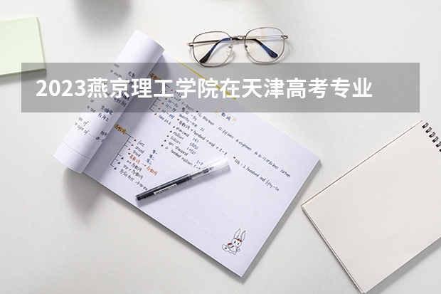 2023燕京理工学院在天津高考专业计划招生多少人