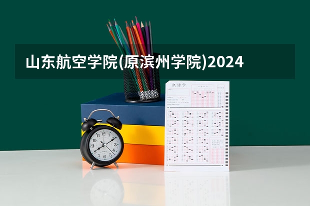 山东航空学院(原滨州学院)2024在山东招生计划