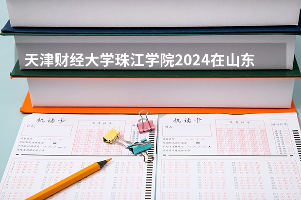 天津财经大学珠江学院2024在山东招生计划