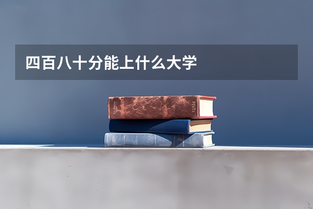 四百八十分能上什么大学